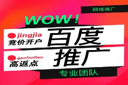 百度SEO推广实战案例：提升网站排名